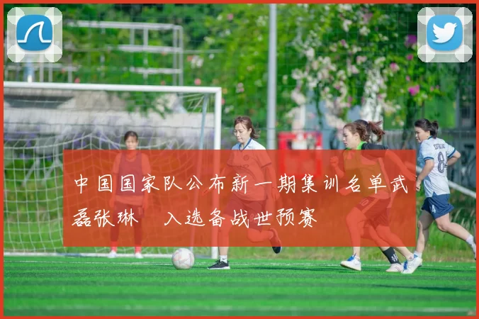 中国国家队公布新一期集训名单武磊张琳芃入选备战世预赛