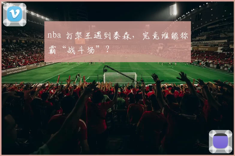 nba 打架王遇到泰森，究竟谁能称霸“战斗场”？