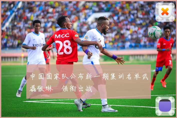 中国国家队公布新一期集训名单武磊张琳芃领衔出战