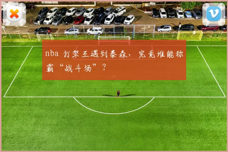 nba 打架王遇到泰森，究竟谁能称霸“战斗场”？